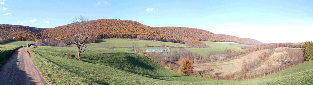 Muthler Mountain Panorama