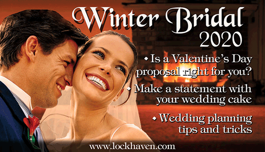 Winter Bridal Cover